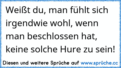 Weißt du, man fühlt sich irgendwie wohl, wenn man beschlossen hat, keine solche Hure zu sein!