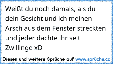 Weißt du noch damals, als du dein Gesicht und ich meinen Arsch aus dem Fenster streckten und jeder dachte ihr seit Zwillinge xD