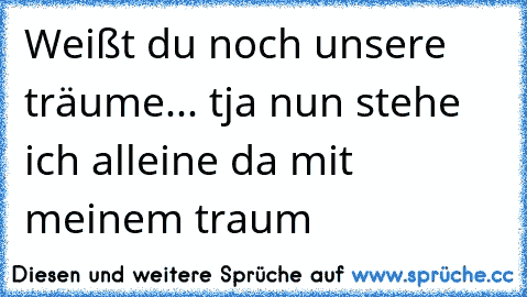 Weißt du noch unsere träume... tja nun stehe ich alleine da mit meinem traum