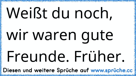 Weißt du noch, wir waren gute Freunde. Früher.