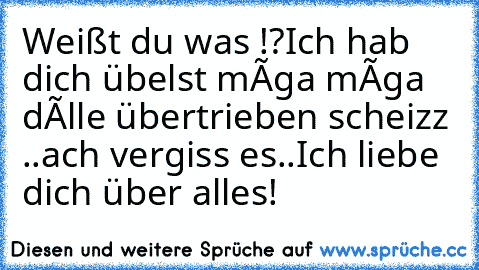 Weißt du was !?
Ich hab dich übelst mêga mêga dôlle übertrieben scheizz ..
ach vergiss es..
Ich liebe dich über alles!