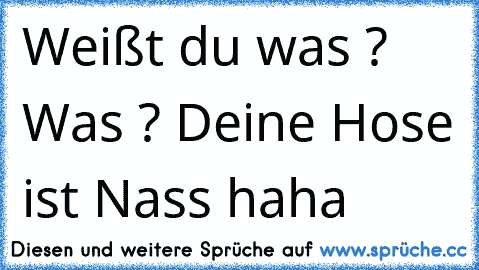 Weißt du was ? Was ? Deine Hose ist Nass haha