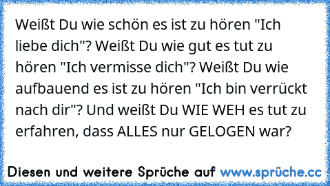 Weißt Du wie schön es ist zu hören "Ich liebe dich"? Weißt Du wie gut es tut zu hören "Ich vermisse dich"? Weißt Du wie aufbauend es ist zu hören "Ich bin verrückt nach dir"? Und weißt Du WIE WEH es tut zu erfahren, dass ALLES nur GELOGEN war?