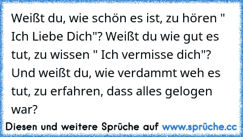 Weißt du, wie schön es ist, zu hören " Ich Liebe Dich"? Weißt du wie gut es tut, zu wissen " Ich vermisse dich"? Und weißt du, wie verdammt weh es tut, zu erfahren, dass alles gelogen war?