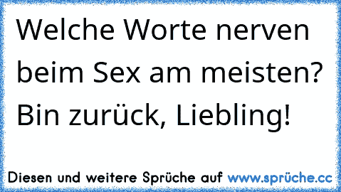 Welche Worte nerven beim Sex am meisten? Bin zurück, Liebling!