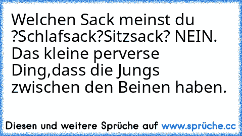 Welchen Sack meinst du ?
Schlafsack?
Sitzsack? 
NEIN. Das kleine perverse Ding,dass die Jungs zwischen den Beinen haben.