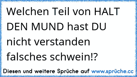 Welchen Teil von HALT DEN MUND hast DU nicht verstanden falsches schwein!?