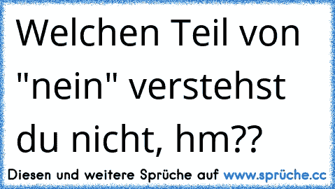 Welchen Teil von "nein" verstehst du nicht, hm??