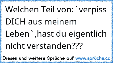 Welchen Teil von:`verpiss DICH aus meinem Leben`,hast du eigentlich nicht verstanden???