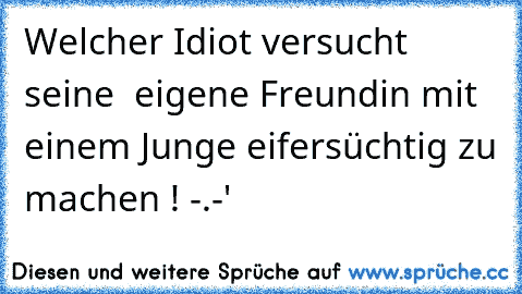 Welcher Idiot versucht seine  eigene Freundin mit einem Junge eifersüchtig zu machen ! -.-'