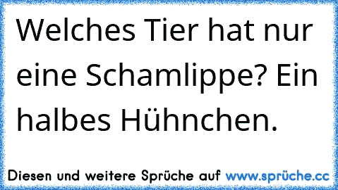 Welches Tier hat nur eine Schamlippe? Ein halbes Hühnchen.