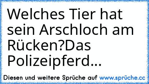 Welches Tier hat sein Arschloch am Rücken?
Das Polizeipferd...