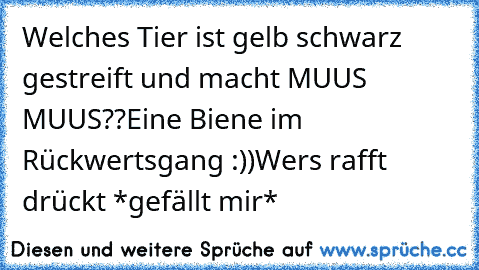 Welches Tier ist gelb schwarz gestreift und macht MUUS MUUS??
Eine Biene im Rückwertsgang :))
Wers rafft drückt *gefällt mir*