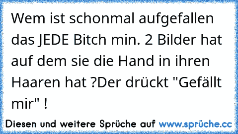 Wem ist schonmal aufgefallen das JEDE Bitch min. 2 Bilder hat auf dem sie die Hand in ihren Haaren hat ?
Der drückt "Gefällt mir" !