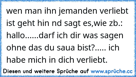 wen man ihn jemanden verliebt ist geht hin nd sagt es,wie zb.: hallo......darf ich dir was sagen ohne das du saua bist?..... ich habe mich in dich verliebt.