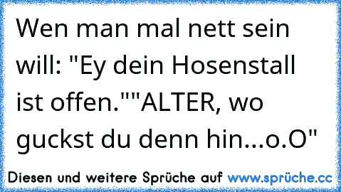 Wen man mal nett sein will: "Ey dein Hosenstall ist offen."
"ALTER, wo guckst du denn hin...o.O"