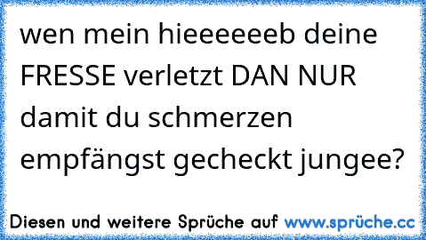 wen mein hieeeeeeb deine FRESSE verletzt DAN NUR damit du schmerzen empfängst gecheckt jungee?