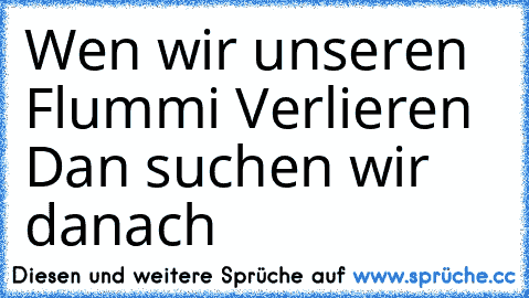 Wen wir unseren Flummi Verlieren Dan suchen wir danach