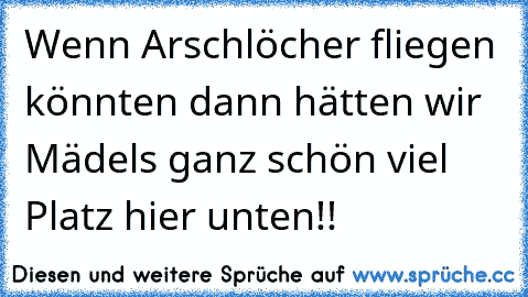 Wenn Arschlöcher fliegen könnten dann hätten wir Mädels ganz schön viel Platz hier unten!!