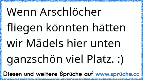 Wenn Arschlöcher fliegen könnten hätten wir Mädels hier unten ganzschön viel Platz. :)