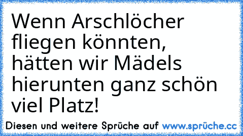 Wenn Arschlöcher fliegen könnten, hätten wir Mädels hier
unten ganz schön viel Platz!