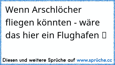 Wenn Arschlöcher fliegen könnten - wäre das hier ein Flughafen ツ