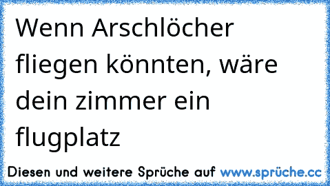 Wenn Arschlöcher fliegen könnten, wäre dein zimmer ein flugplatz