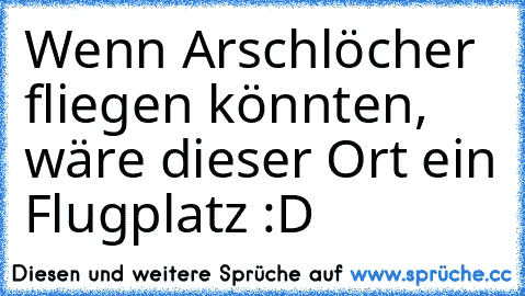 Wenn Arschlöcher fliegen könnten, wäre dieser Ort ein Flugplatz :D