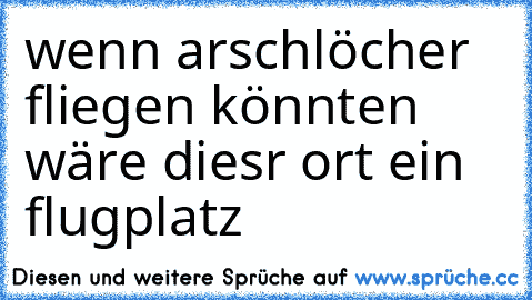 wenn arschlöcher fliegen könnten wäre diesr ort ein flugplatz