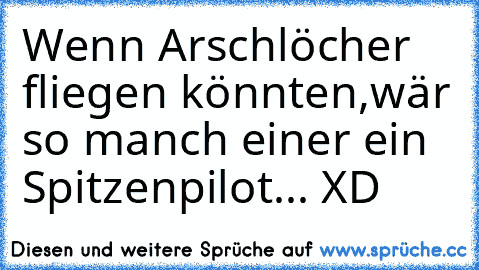 Wenn Arschlöcher fliegen könnten,wär so manch einer ein Spitzenpilot... XD