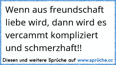 Wenn aus freundschaft liebe wird, dann wird es vercammt kompliziert und schmerzhaft!!