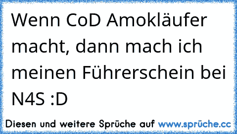 Wenn CoD Amokläufer macht, dann mach ich meinen Führerschein bei N4S :D