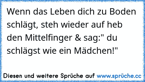 Wenn das Leben dich zu Boden schlägt, steh wieder auf heb den Mittelfinger & sag:" du schlägst wie ein Mädchen!"