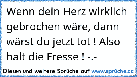 Wenn dein Herz wirklich gebrochen wäre, dann wärst du jetzt tot ! Also halt die Fresse ! -.-