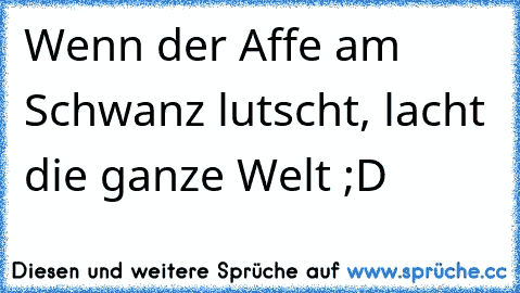 Wenn der Affe am Schwanz lutscht, lacht die ganze Welt ;D