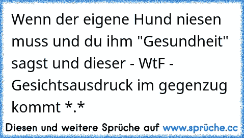 Wenn der eigene Hund niesen muss und du ihm "Gesundheit" sagst und dieser - WtF - Gesichtsausdruck im gegenzug kommt *.*