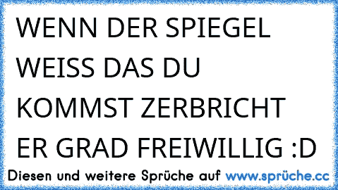 WENN DER SPIEGEL WEISS DAS DU KOMMST ZERBRICHT ER GRAD FREIWILLIG :D