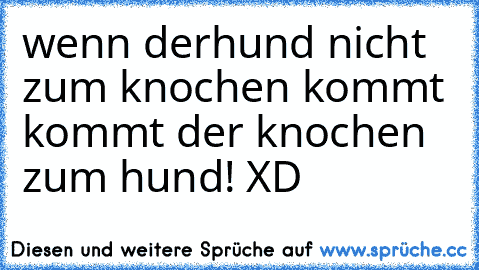 wenn derhund nicht zum knochen kommt kommt der knochen zum hund! XD