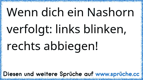 Wenn dich ein Nashorn verfolgt: links blinken, rechts abbiegen!