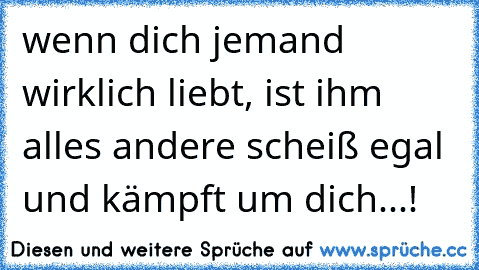 wenn dich jemand wirklich liebt, ist ihm alles andere scheiß egal und kämpft um dich...!