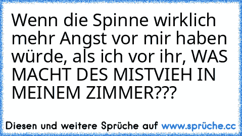 Wenn die Spinne wirklich mehr Angst vor mir haben würde, als ich vor ihr, WAS MACHT DES MISTVIEH IN MEINEM ZIMMER???