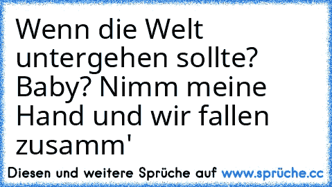 Wenn die Welt untergehen sollte? Baby? Nimm meine Hand und wir fallen zusamm'♥