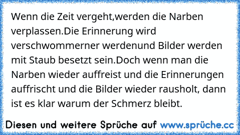 Wenn die Zeit vergeht,
werden die Narben verplassen.
Die Erinnerung wird verschwommerner werden
und Bilder werden mit Staub besetzt sein.
Doch wenn man die Narben wieder auffreist und die Erinnerungen auffrischt und die Bilder wieder rausholt, dann ist es klar warum der Schmerz bleibt.