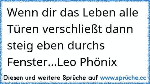 Wenn dir das Leben alle Türen verschließt dann steig eben durchs Fenster...Leo Phönix