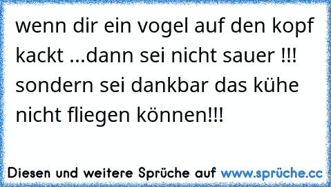 wenn dir ein vogel auf den kopf kackt ...dann sei nicht sauer !!! sondern sei dankbar das kühe nicht fliegen können!!!