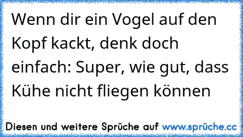 Wenn dir ein Vogel auf den Kopf kackt, denk doch einfach: Super, wie gut, dass Kühe nicht fliegen können