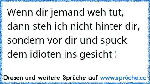 Wenn dir jemand weh tut, dann steh ich nicht hinter dir, sondern vor dir und spuck dem idioten ins gesicht ! ♥