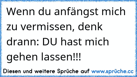 Wenn du anfängst mich zu vermissen, denk drann: DU hast mich gehen lassen!!!