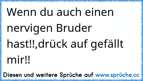 Wenn du auch einen nervigen Bruder hast!!,drück auf gefällt mir!!