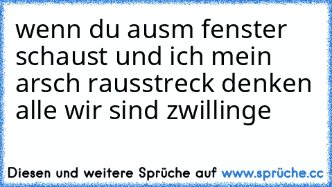 wenn du ausm fenster schaust und ich mein arsch rausstreck denken alle wir sind zwillinge